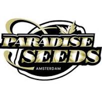 Paradise Seeds