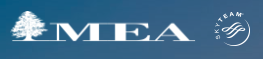 Middle East Airlines