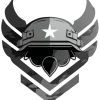Camo Division