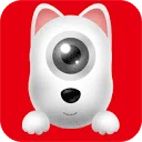 DDPAI Global
