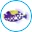 Fish Tanks Direct