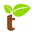 Terranut