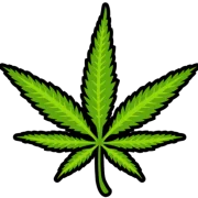 The Hemp House